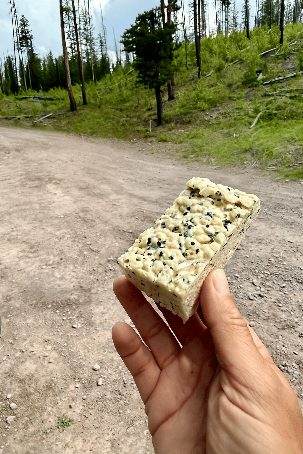 Black sesame rice krispie treats!