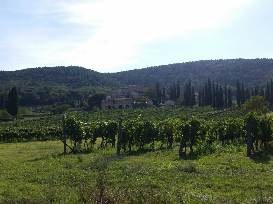 Chianti region of Tuscany. We finish one of our rides with this view overlooking some Chianti vineyards