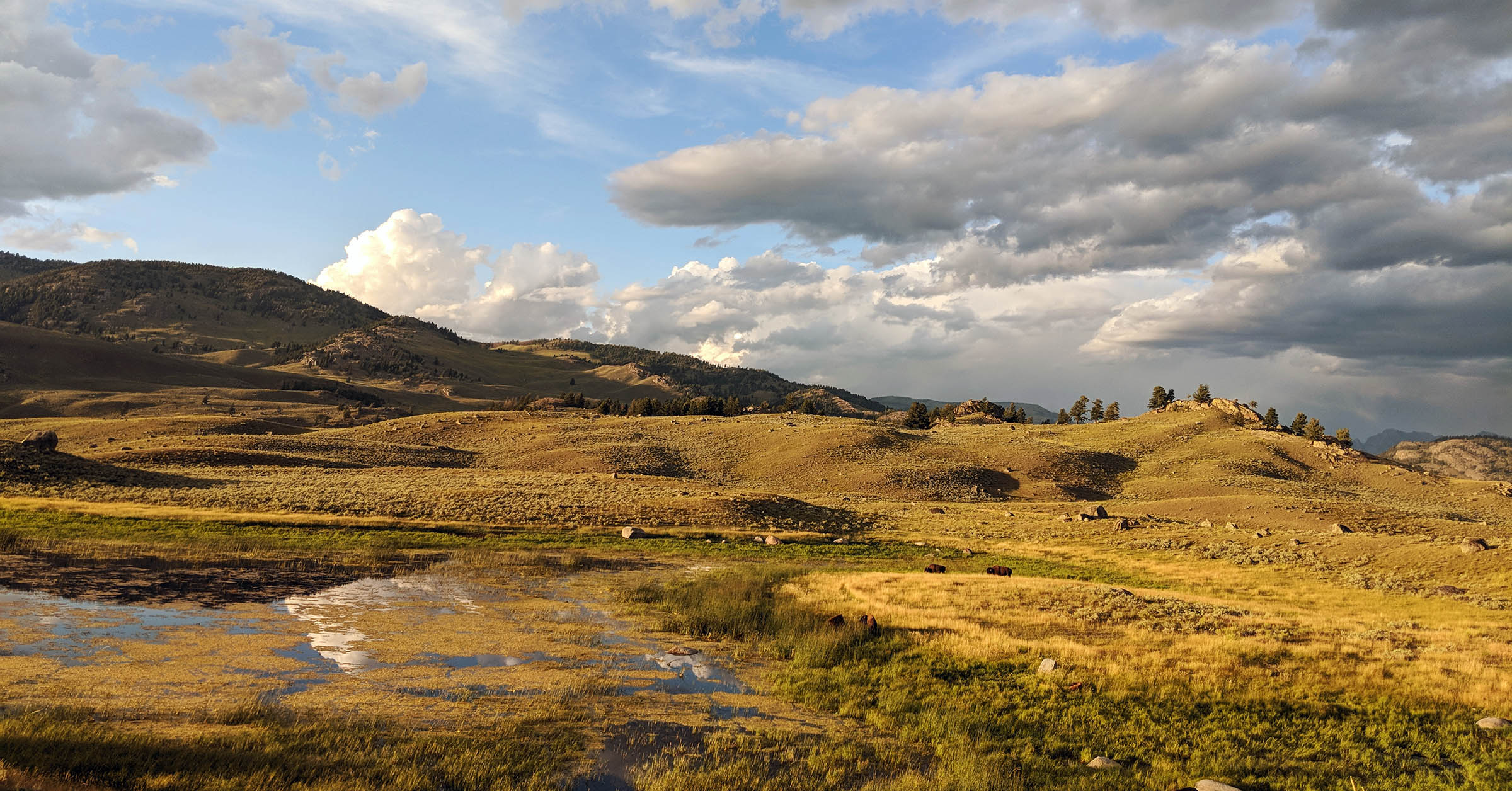 Montana Cycling Tour 2020 - The Cycling House Bike Vacations