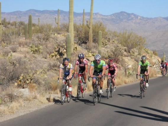 TCH crew doing a cycling a couple loops in Saguaro E. National Park