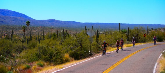 Riding base miles with the Saguaro Cactus in Tucson, AZ