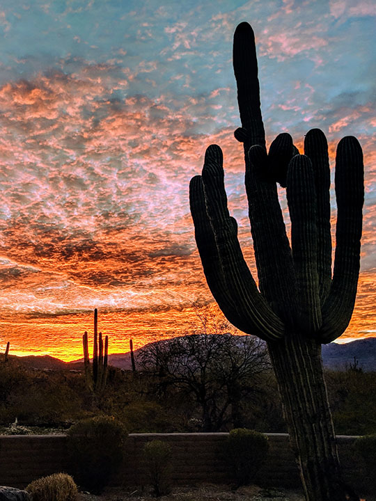 Tucson Arizona Cycling Destination - Cycling Tours