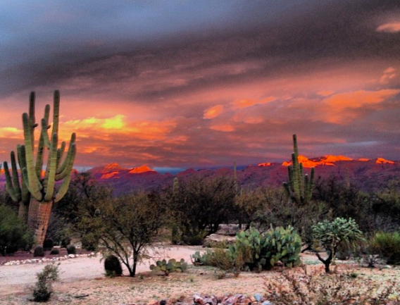 Brendan Halpin took this sunrise photo before heading out to Saguaro E. National Park