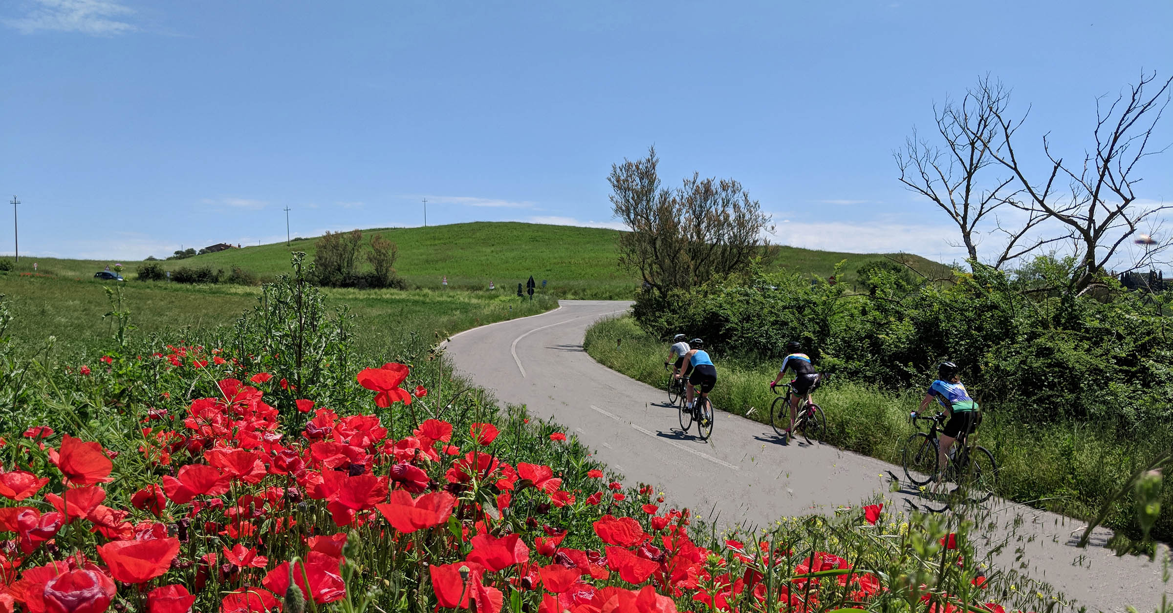 Italy Cycling Trips in 2020 - Tuscany Bike Vacation