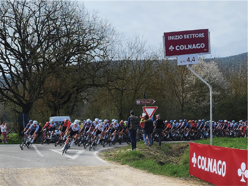 bianche2
