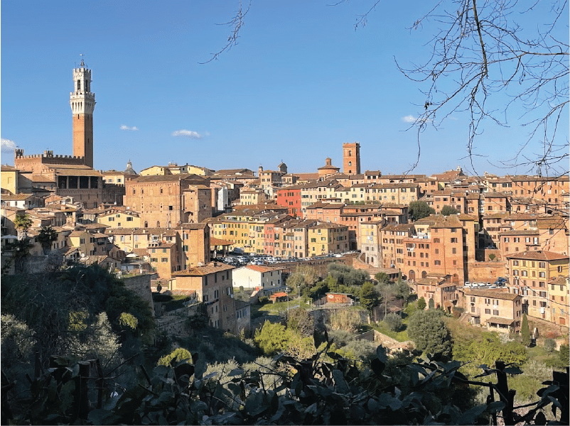 bianche4