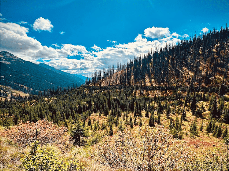 cliff3